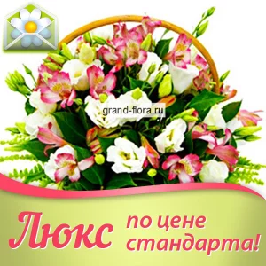 Брызги шампанского Брызги шампанского